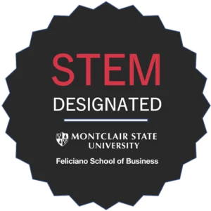 STEM logo