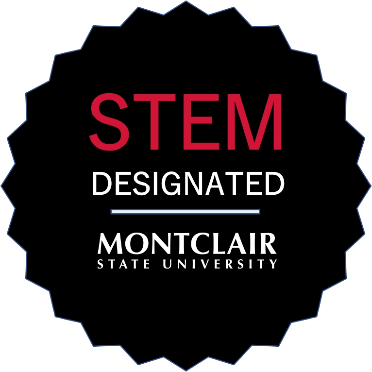 MSU Stem Badge